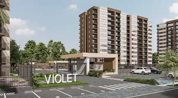 Violet